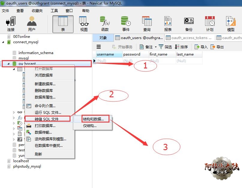 navicat数据库备份dnf数据演示操作图